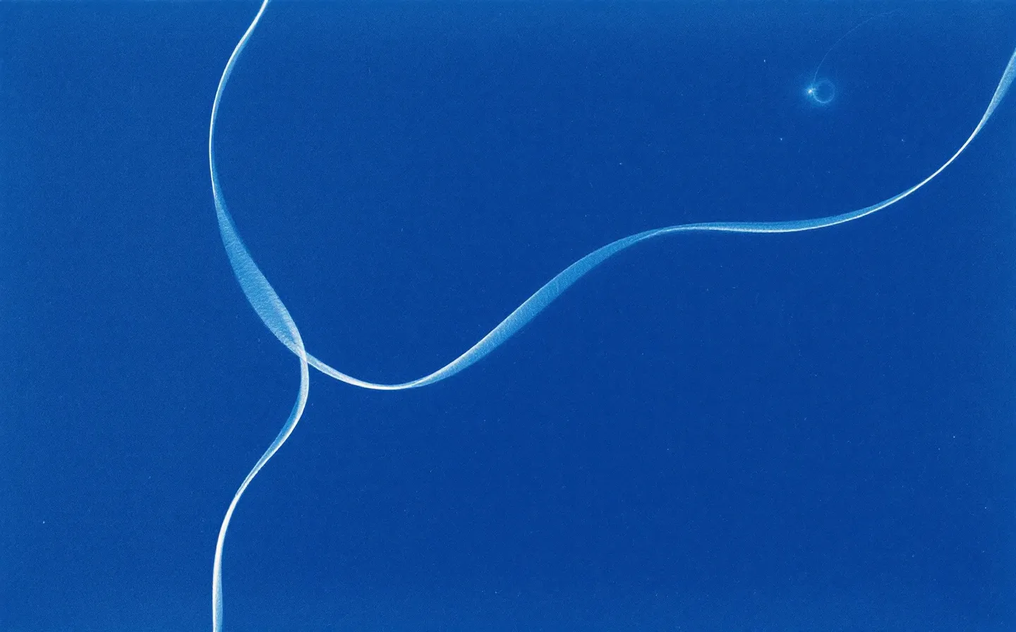 Cyanotype blueprint of a peptide ribbon reaching three membrane receptors